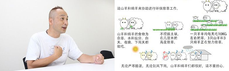 爲了加深大家(jiā)對(duì)“山羊和綿羊除草”的理解，制作Ｔ恤衫和看闆。