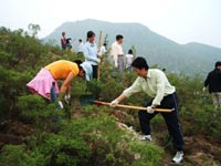 東芝(中國)2007年(nián)度公益植樹助學活動