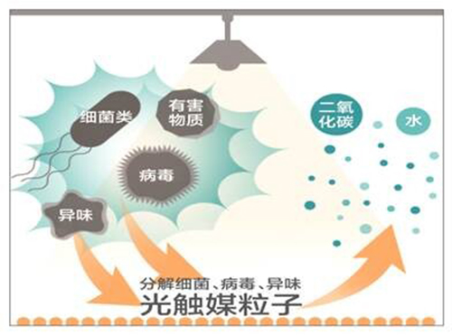 東芝光觸媒業務在中國正式啓動